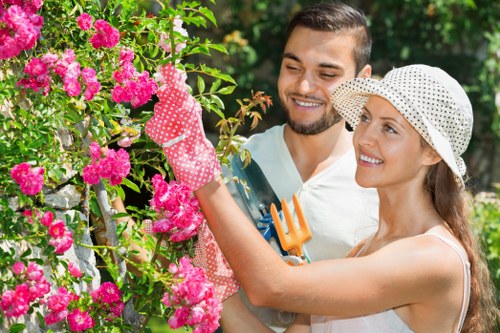 In a well-maintained front garden in Camden Town, two individuals are engaging in gardening activities. The scene features a lush, dense hedge of pink flowering bushes, possibly roses or similar flowering shrubs, occupying the left side of the image. The foreground displays a vibrant, neatly cut lawn with healthy, green grass that extends across the garden's open area. Behind the flowering bushes, there are tall trees with leafy green canopies providing partial shade. The garden also includes a paved pathway or patio area made of textured stone or concrete, visible on the right side, bordering the lawn. The weather appears bright and sunny, with natural daylight illuminating the space and creating soft shadows, enhancing the gardenâ€™s natural tones. One person, wearing pink gardening gloves with white polka dots, is actively pruning or inspecting the flowering hedge, while the other, dressed in a light-colored sleeveless top and a white sun hat, holds gardening tools, suggesting ongoing garden maintenance. The setting reflects a tidy, outdoor landscaped area typical of residential gardens in Camden Town, suitable for professional gardening or lawn care services such as those offered by Lawn Mowing Camden Town, emphasizing a neat and healthy outdoor environment.