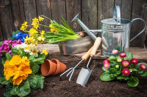 Camden Town residential garden maintenance