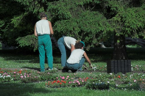Professional arborist assessing a tree