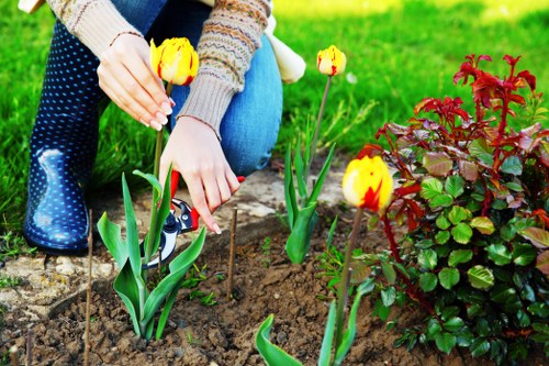 Seasonal garden display in Camden Town with spring blooms