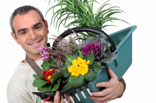 Seasonal lawn maintenance in Camden Town