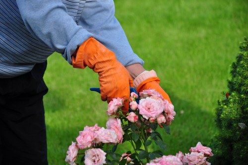 Close-up of a trimmer and clipped grass after a cutting service