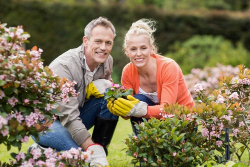 Tools and equipment used for garden clearance